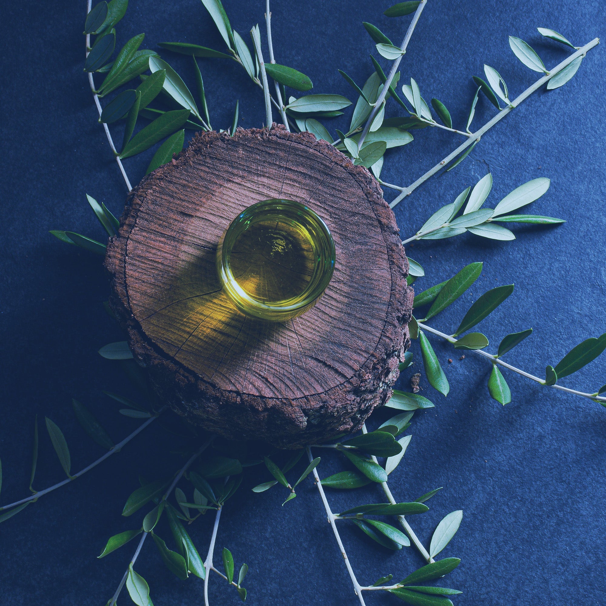 small cup of oil on top of a cut of wood on top of branches from a tree