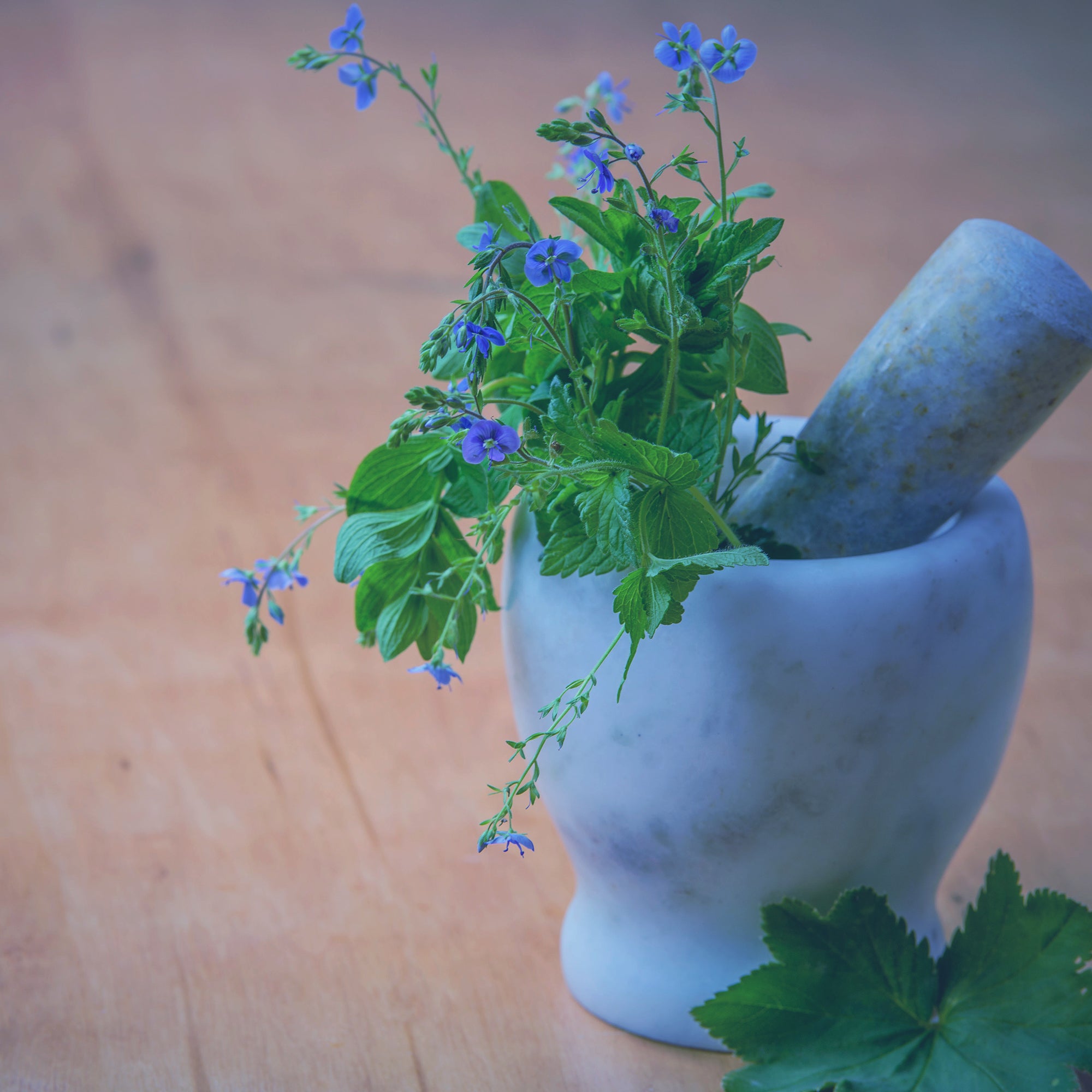 A mortar and pestle with a purple flower in it