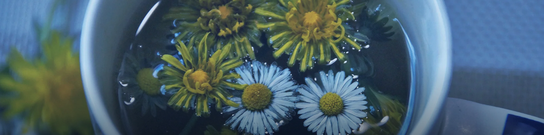 8 Hidden Heavy Metals Sabotaging Your Health Every Day