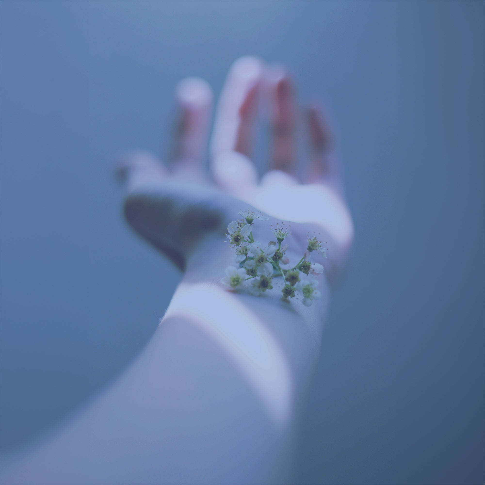 A hand and half the arm with a smalle little bit of flowers laying on the wrist