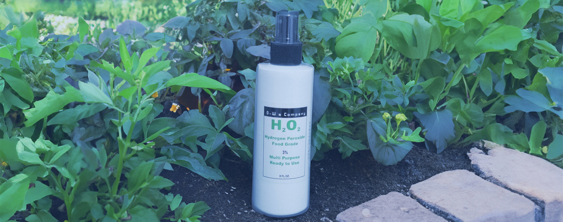 A bottle of Hydrogen Peroxide in a garden because it has uses throughout the house and yard