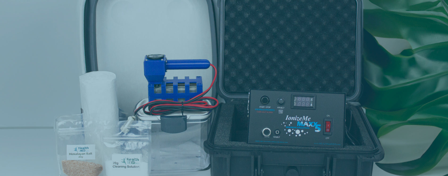 An IonizeMe Maxx 5 Starter System on a table with a plant