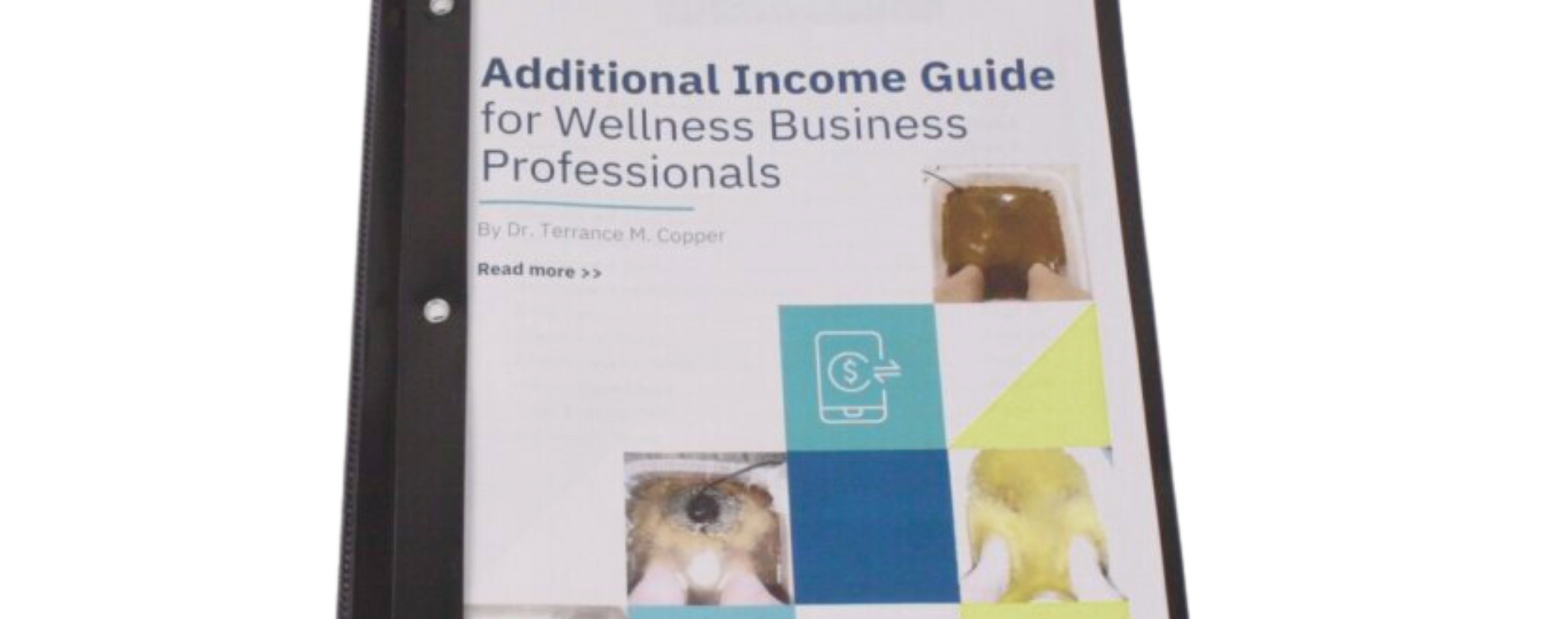 Additional Income Guide for Wellness Business Professionals