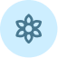 Holistic Approach