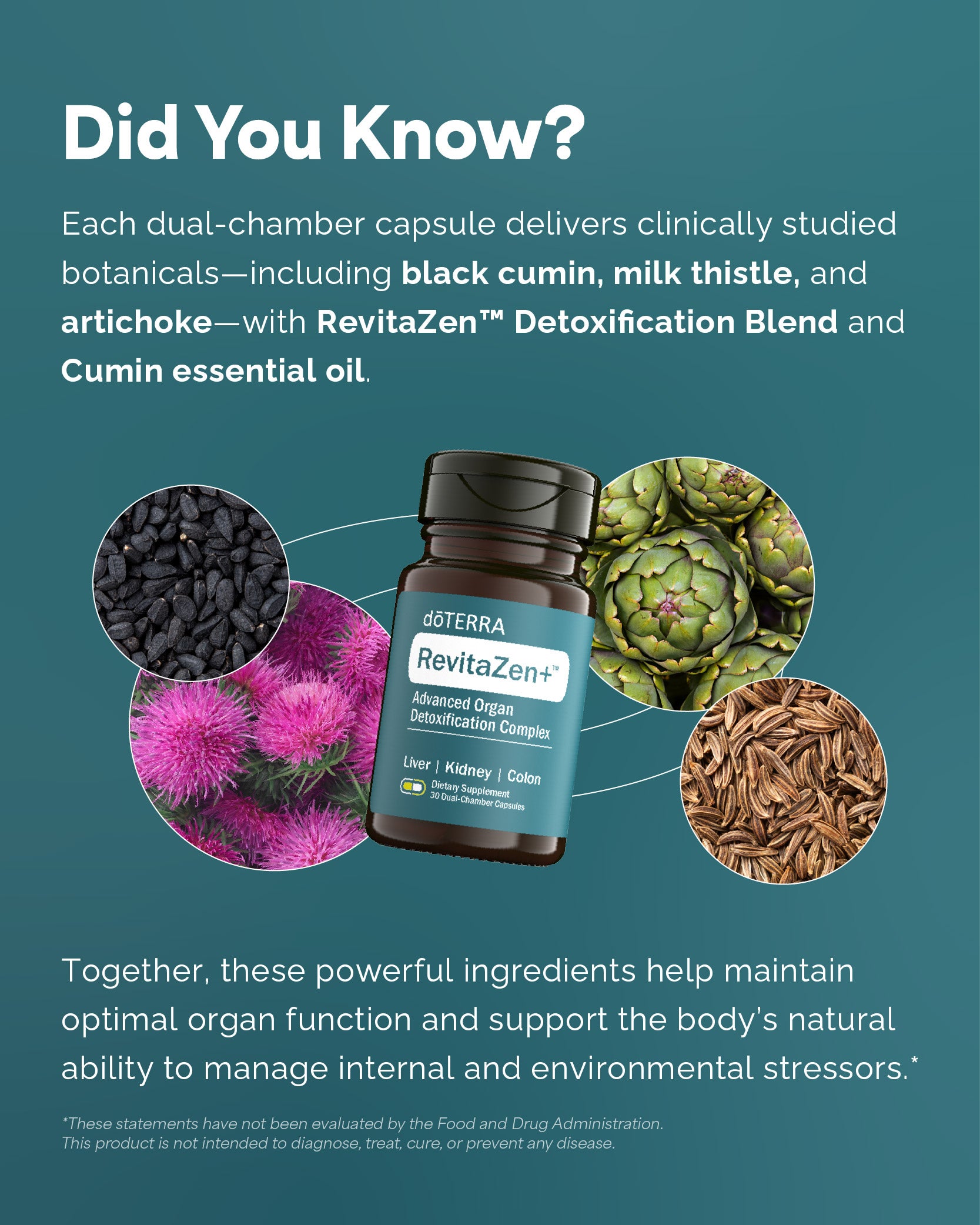 doTERRA RevitaZen+ Advanced Organ Detox Complex | Liver, Kidney & Colo