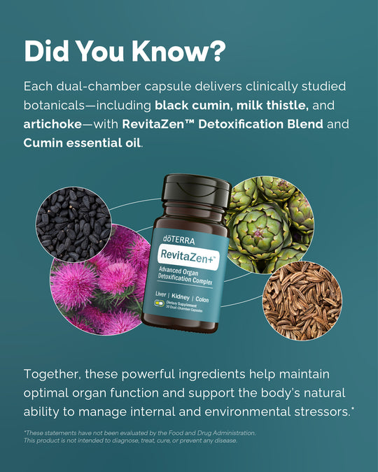 Advertisement for doTERRA RevitaZen+ detoxification capsules with botanical images on a teal background.