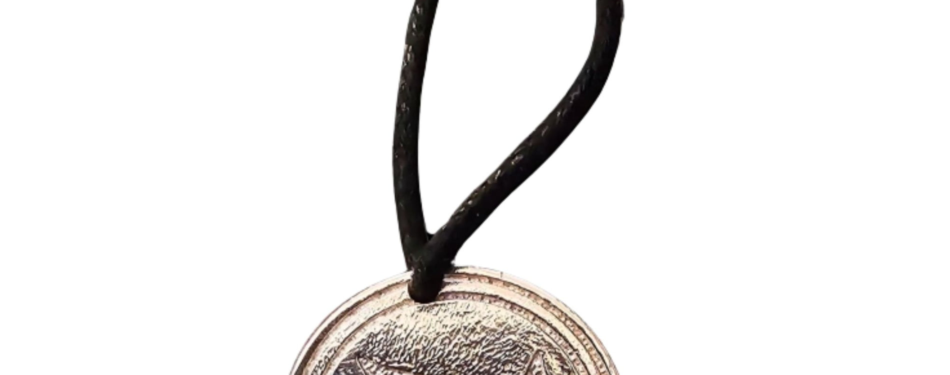 Terra Activity Pendant by APLGO