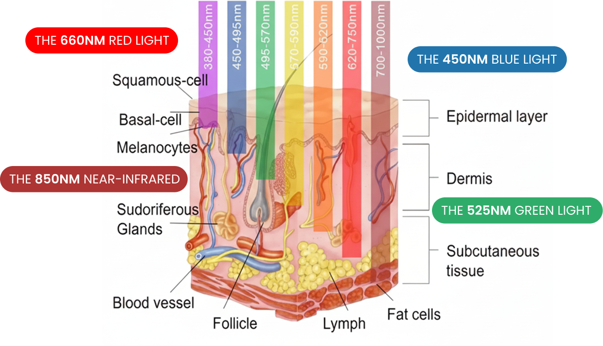 Therapy Bed Center Image